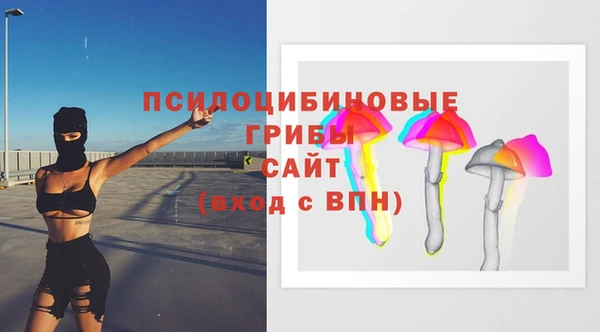 спиды Верея