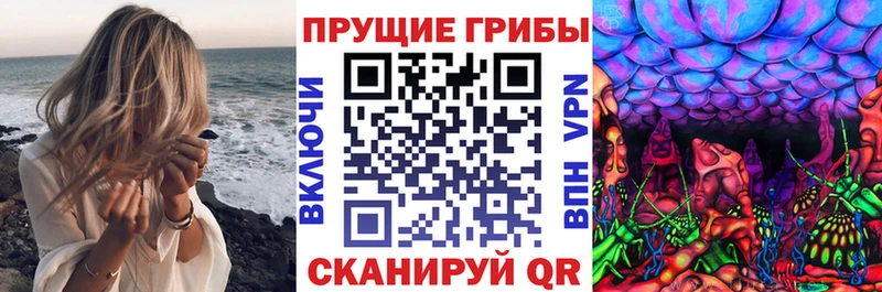 Купить  Гаврилов Посад  Псилоцибиновые грибы Psilocybe 